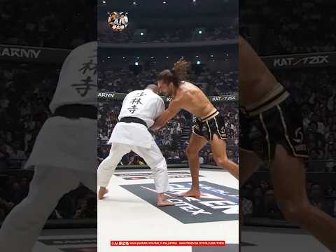 【打撃戦から崩して変形裏固め】少林寺拳法 vs 総合格闘技 #ShorinjiKempo #MMA  #異種格闘技