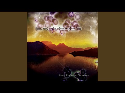 De Wereldoverbrugger (Original Mix)