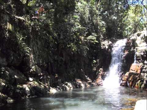 S O S Waldir   Natureza vs Homem