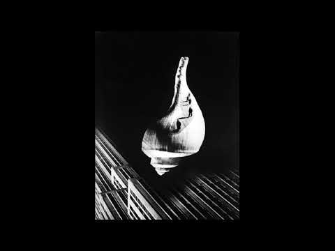 Petar Cvetkovic - Shells On Rab