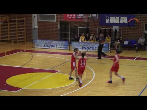 TRICA X2,  PODRAVAC-MEDVEŠČAK