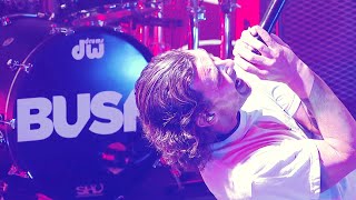 Bush: Live In Los Angeles