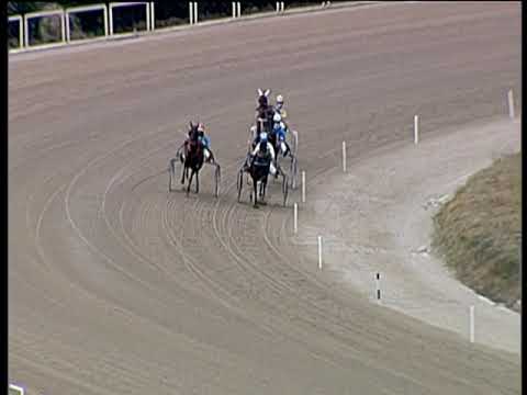 Trotto 14/01/2020 - prova di qualifica