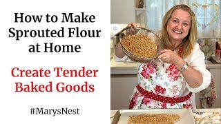 How to Make Sprouted Flour at Home - How to Sprout Grains