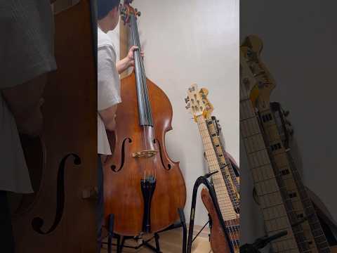 Hercules Double Bass Stand DS590B image 3