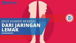 Liposarkoma, Suatu Jenis Keganasan atau Kanker yang Berasal dari Jaringan Lemak