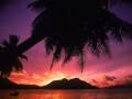 Carlos Santana House Remix