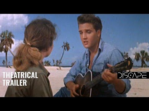 1962 Elvis Presley - Follow That Dream (Legendado)