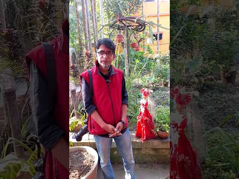 Outdoor Portrait Lighting Tips #photographytips  #portraitphotography