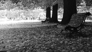 Plaza Moreno Lyrics English Translation