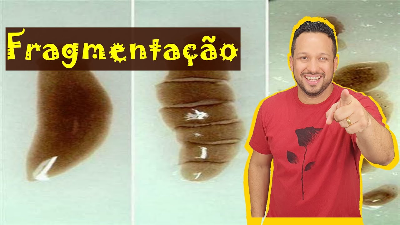 Fragmentação - Tipos de Reprodução - Reprodução Assexuada - Reprodução