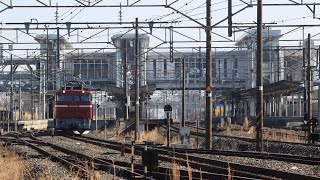 水戸線 西金ホキ郡山入場配給 EF81 80+ホキ800×4両 友部駅脇踏切にて(汽笛あり)