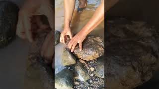 Download lagu Keris pus4k4 did4l4m b4tu k4li #pusakamisteri #pusakajawa #misterinusantara #auramistis mp3 Download lagu Keris pus4k4 did4l4m b4tu k4li #pusakamisteri #pusakajawa #misterinusantara #auramistis mp3