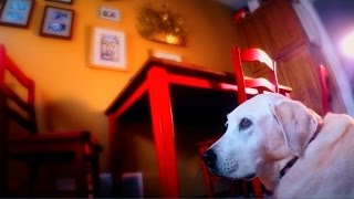 Ashes and Dreams - Heart of Stone [Official Video]