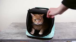 Sleepypod Air In-Cabin Pet Carrier Review (We Tried It)