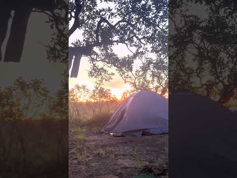 Cavalcante - GO: Complexo do Prata.