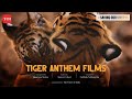 Tiger Anthem Film 1 | Shantanu Moitra | Subbiah Nallamuthu | #SavingOurStripes