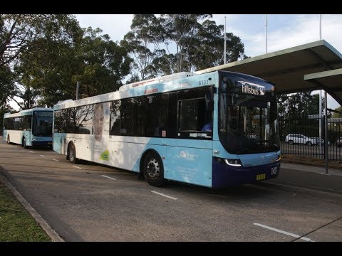 CDC Hillsbus [Northmead] Volvo B7RLE Euro 5 / Volgren Optimus, m/o 6131