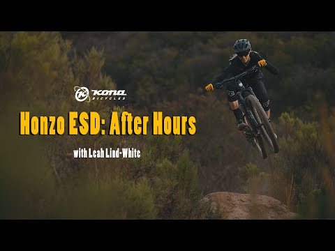 Honzo ESD: After Hours