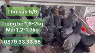 Thứ sáu 05/09