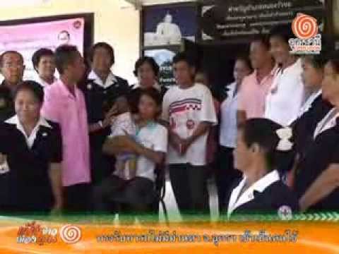 การวิเคราะห์ของฮอร์โมนในความอ่อนแอ เชื้อโรครีวิวผู้หญิง