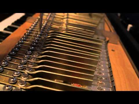 How to Tune / Voice the Rhodes (adjusting the Rhodes tone)