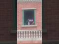 Count Von Count Playing A Fall Edition Of Ispy Sesameplace Countvoncount