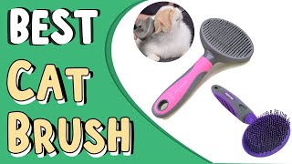 Top 5 Best Cat Brush in 2022 _ Cat Grooming