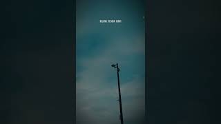 Download lagu Hilang semua janjiSemua mimpi-mimpi indah.. (Hilang Semua Janji - Aila Mumu) lirik&lagu #music mp3