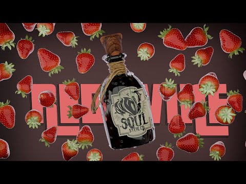 Portfolio Video