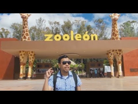 download lagu mp3 mp4 Zoologico De Leon, download lagu Zoologico De Leon gratis, unduh video klip Zoologico De Leon