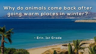 Why do animals come back after going warm places in winter?