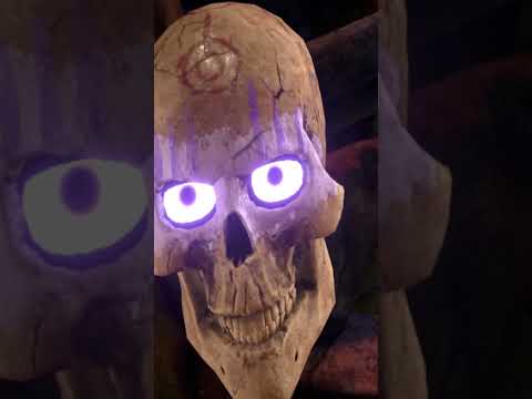 Skully is self aware