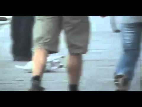 Leniwy pies na zjeżdżalni