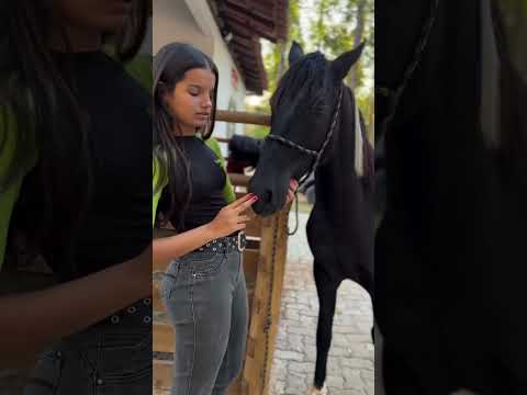 Vacuum Horse #pepe #horses