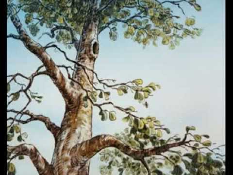 Kubusiowe przygódki - Balonik i pszczoły.