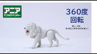 【公式】アニア360度回転動画　「AL-44　ライオン（ホワイトライオン）」