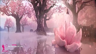 Download lagu YAKURO🌸The Color Of Love🌸 mp3