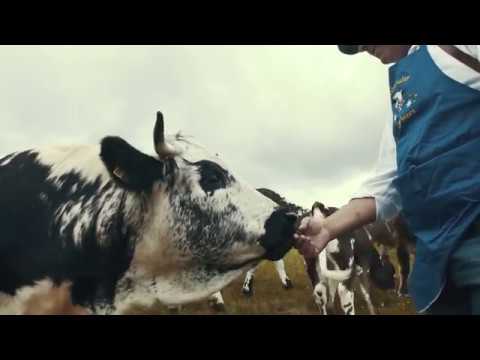 Pustertaler Sprinzen