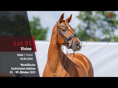Zuchtstuten-Auktion Lot 01 Vivien Stute v. Vitalis - Sir Donnerhall I