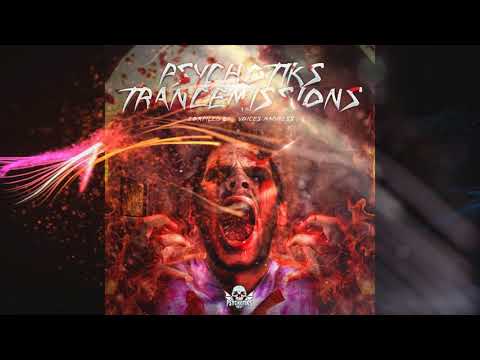 Psykotronik - Psychotic Mind