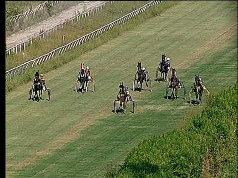 Trotto 20/09/2019 - Trofeo Giudicianni