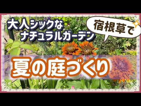 , title : '《真夏~秋によく咲くお勧めの宿根草植え付け！》地味すぎ！？渋めの植栽／夏から秋によく咲く大人カラーの宿根草／ミニバラの地植え／過湿に弱い宿根草の植え付け方法／マルチング'