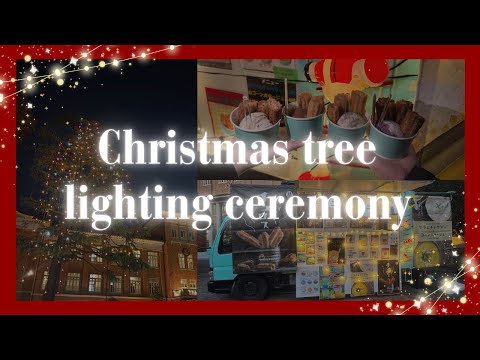 総合政策学科 【津田塾大学】クリスマスツリー点灯式🎄