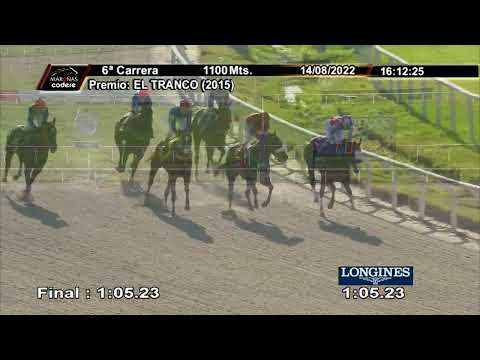 220814 c06 QUE PANDERETA