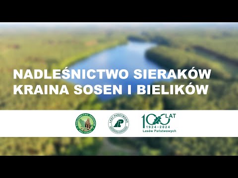 Nadleśnictwo Sieraków Kraina Sosen i Bielików
