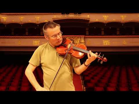 Master Level Violin 4/4 by Luthier Traian Sima, Reghin Romania 2022 #170 image 11