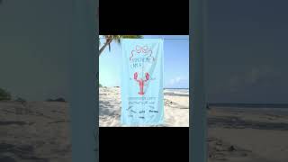 Download lagu Bachelorette handdoek met namen: pinch me I'm a bride - naam bruid #beachtowel #bride #beach #gift mp3 Download lagu Bachelorette handdoek met namen: pinch me I'm a bride - naam bruid #beachtowel #bride #beach #gift mp3