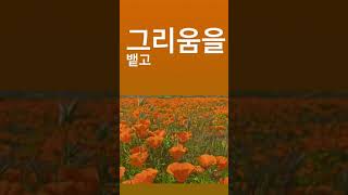 Download lagu Sam Kim -BREATHE mp3