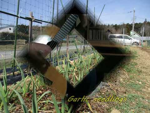 Quatre Marches op.48 no.2/Napoleon COSTE